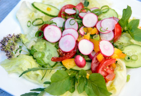 “LEBANON” Lebanese salad